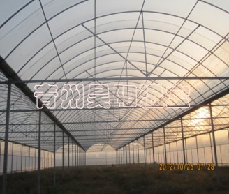 Intelligent multi-span greenhouse