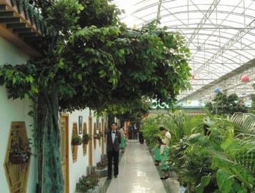 Ecological restaurant