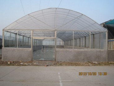 Single greenhouse