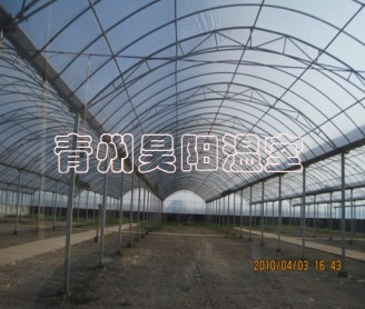 Intelligent multi-span greenhouse