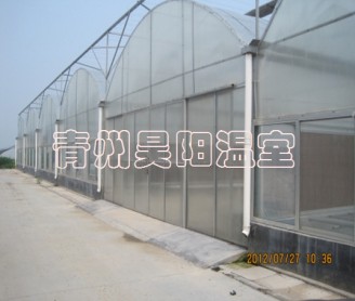Intelligent multi-span greenhouse