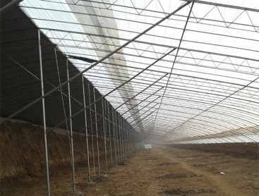 Vegetable greenhouse construction