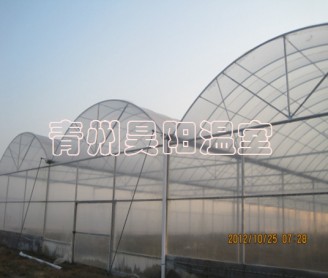 Intelligent multi-span greenhouse