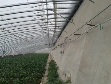 Intelligent sunlight greenhouse