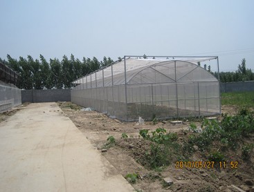 double greenhouse