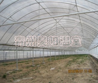 Intelligent multi-span greenhouse
