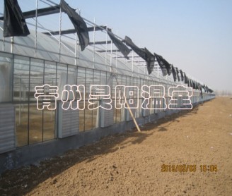 Intelligent multi-span greenhouse