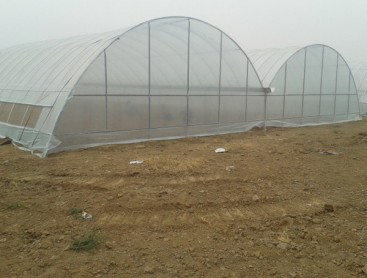 Single greenhouse