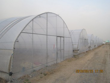 Single greenhouse