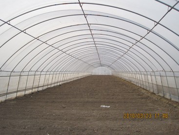 Single greenhouse