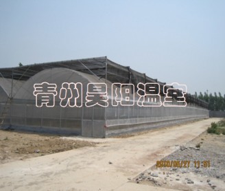 Intelligent multi-span greenhouse