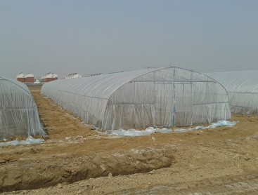 Single greenhouse