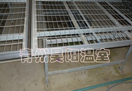 Greenhouse mobile seedbed