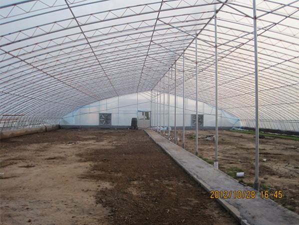 花卉大棚建設(shè)
