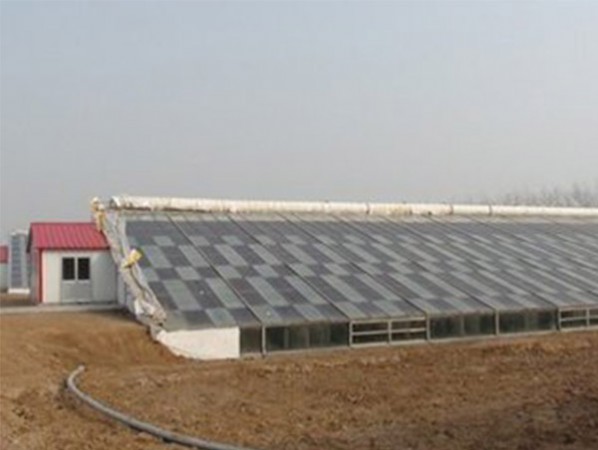 Photovoltaic greenhouse