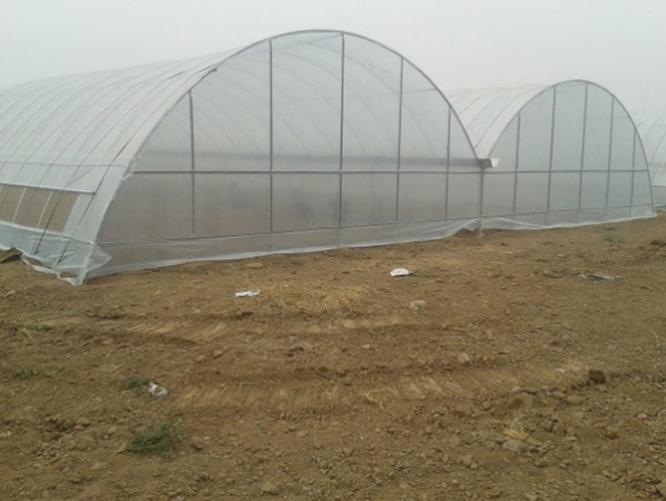 Single greenhouse