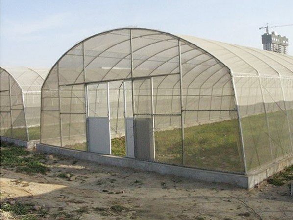 Single greenhouse