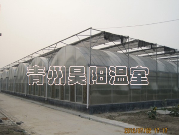 Intelligent multi-span greenhouse