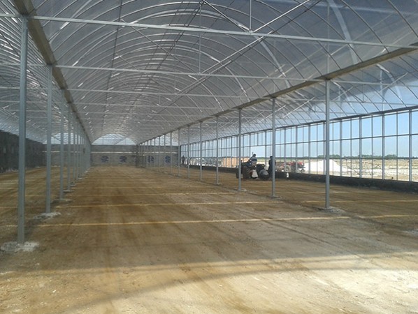 智能連棟膜溫室